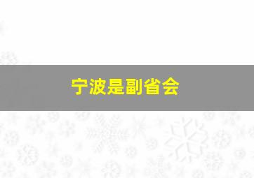 宁波是副省会