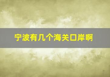 宁波有几个海关口岸啊