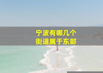 宁波有哪几个街道属于东部