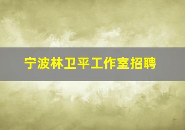 宁波林卫平工作室招聘