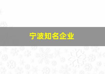 宁波知名企业