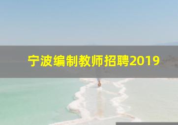 宁波编制教师招聘2019