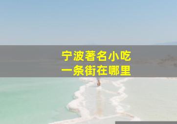 宁波著名小吃一条街在哪里