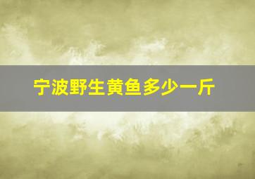 宁波野生黄鱼多少一斤