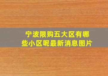 宁波限购五大区有哪些小区呢最新消息图片