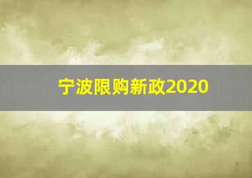 宁波限购新政2020