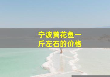 宁波黄花鱼一斤左右的价格