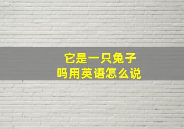 它是一只兔子吗用英语怎么说