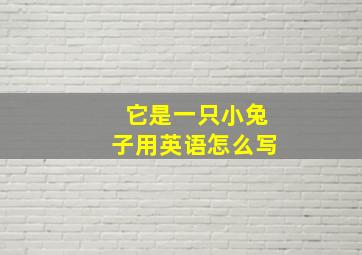 它是一只小兔子用英语怎么写