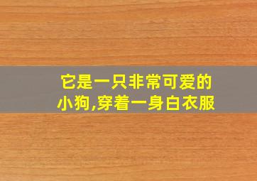 它是一只非常可爱的小狗,穿着一身白衣服