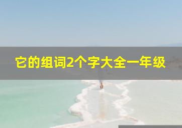 它的组词2个字大全一年级