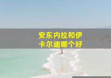 安东内拉和伊卡尔迪哪个好