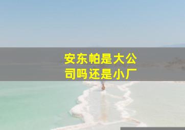 安东帕是大公司吗还是小厂