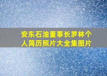 安东石油董事长罗林个人简历照片大全集图片