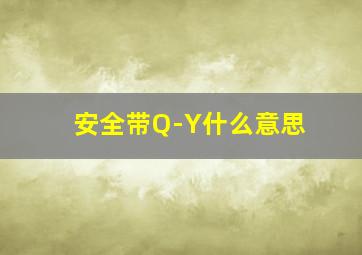 安全带Q-Y什么意思