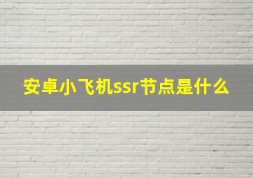 安卓小飞机ssr节点是什么