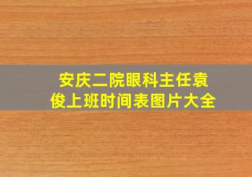 安庆二院眼科主任袁俊上班时间表图片大全