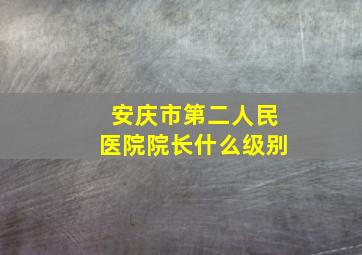 安庆市第二人民医院院长什么级别