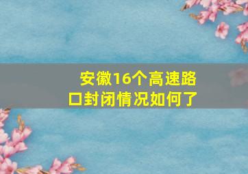 安徽16个高速路口封闭情况如何了