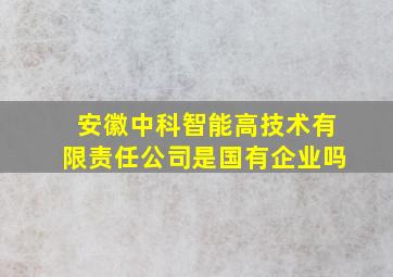 安徽中科智能高技术有限责任公司是国有企业吗