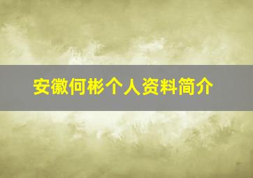 安徽何彬个人资料简介