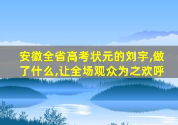 安徽全省高考状元的刘宇,做了什么,让全场观众为之欢呼