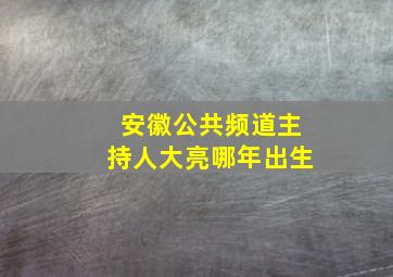 安徽公共频道主持人大亮哪年出生