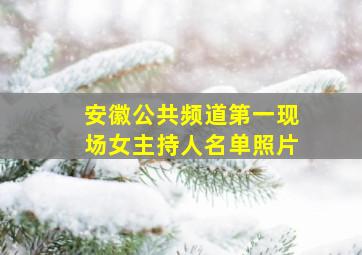 安徽公共频道第一现场女主持人名单照片