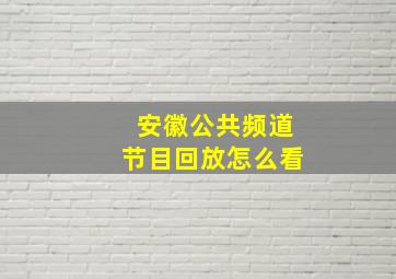 安徽公共频道节目回放怎么看