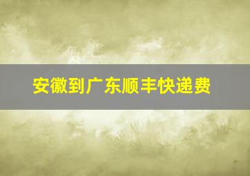 安徽到广东顺丰快递费