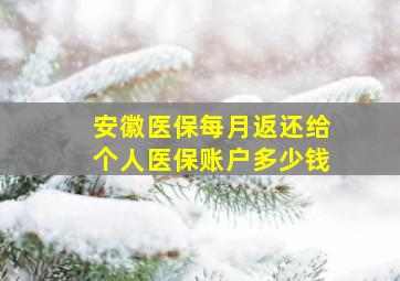 安徽医保每月返还给个人医保账户多少钱