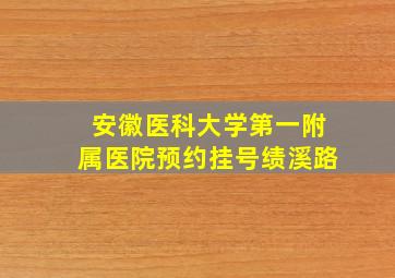 安徽医科大学第一附属医院预约挂号绩溪路