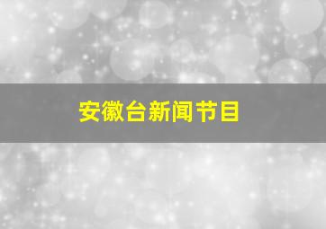 安徽台新闻节目