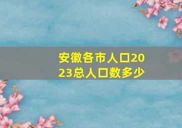 安徽各市人口2023总人口数多少