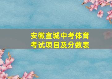 安徽宣城中考体育考试项目及分数表