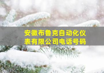 安徽布鲁克自动化仪表有限公司电话号码