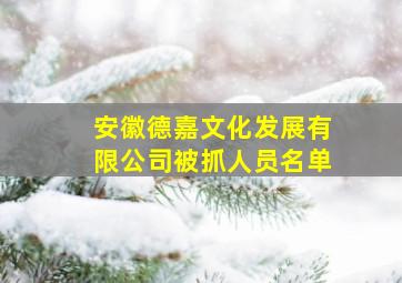 安徽德嘉文化发展有限公司被抓人员名单