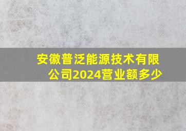 安徽普泛能源技术有限公司2024营业额多少