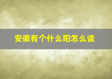 安徽有个什么阳怎么读