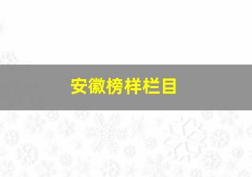 安徽榜样栏目