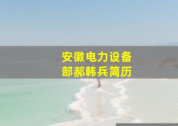 安徽电力设备部郝韩兵简历