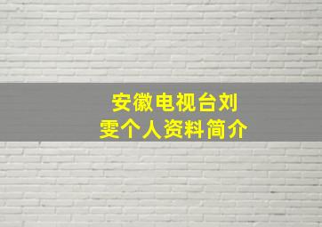 安徽电视台刘雯个人资料简介