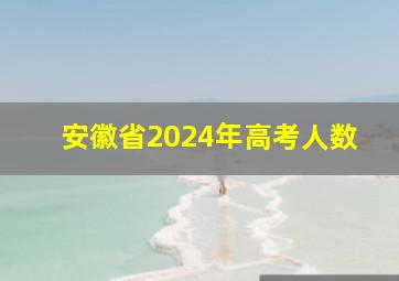 安徽省2024年高考人数