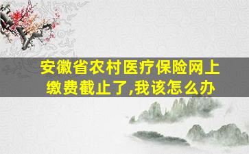 安徽省农村医疗保险网上缴费截止了,我该怎么办