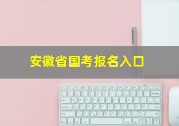 安徽省国考报名入口