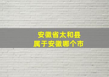 安徽省太和县属于安徽哪个市