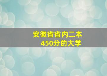 安徽省省内二本450分的大学