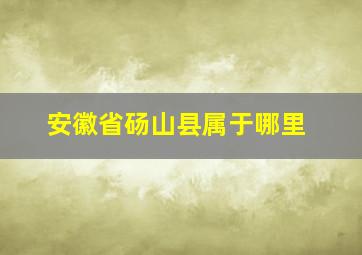 安徽省砀山县属于哪里