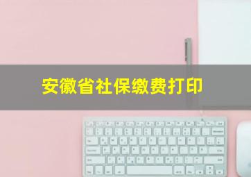 安徽省社保缴费打印