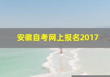 安徽自考网上报名2017